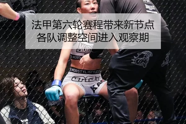 法甲第六轮赛程带来新节点 各队调整空间进入观察期